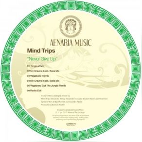 Download track Never Give Up (Vagabond Remix) Mind Trips