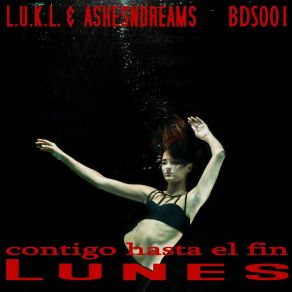 Download track Contigo Hasta El Fin Ashesndreams