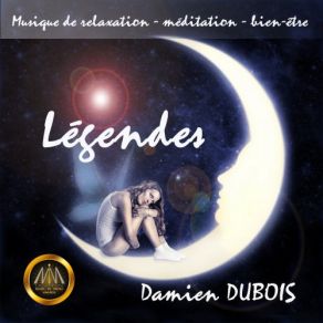 Download track Maléfice Damien Dubois