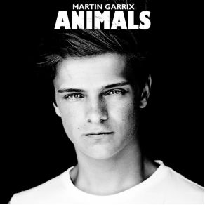 Download track Animals (Grum Remix) Martin Garrix