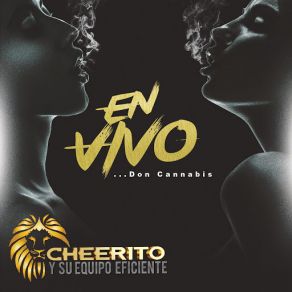 Download track La Repetidora (En Vivo) Cheerito Y Su Equipo Eficiente