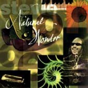 Download track Living For The City Stevie Wonder