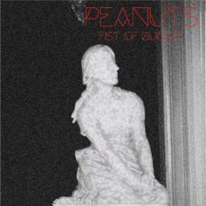 Download track Break The Rules (Original Mix) The Peanuts