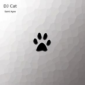 Download track Saint Agne Dj - Cat