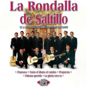 Download track Tienes 15 Años La Rondalla De Saltillo