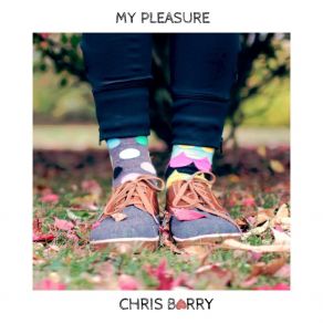 Download track Closer (Extended Mix) Chris Barry