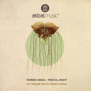 Download track Mezcal Night (Original Mix) Robbie Akbal