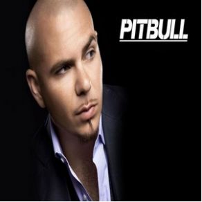 Download track Back In Time (Mike Candys Bootleg Rework) (M 51 Collection 2012) Pitbull