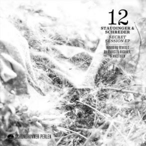 Download track Groundhog Day  (Oberst & Buchner Remix) Staudinger, Schreder