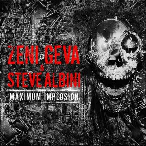 Download track Painwise) (Nai Ha (Bonus Track) Steve Albini