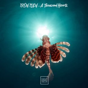 Download track Heaven In Your Eyes Iron Iden