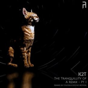 Download track The Tranquillity Of Being With The Self (Colossus Remix) K2T