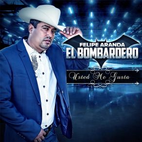 Download track Usted Me Gusta Felipe Aranda El Bombardero