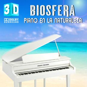 Download track Piano En El Bosque Descanso Emiliano Bruguera