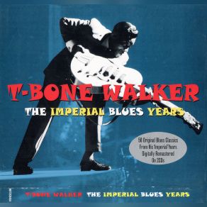 Download track The Hard Way T - Bone Walker