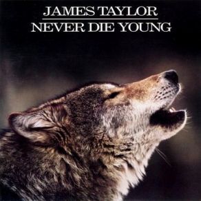 Download track Sun On The Moon James Taylor