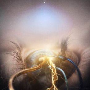 Download track A Gentle Disease The Agonist