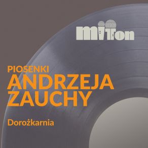 Download track Jak Na Lotni DorożkarniaIga Iwańska