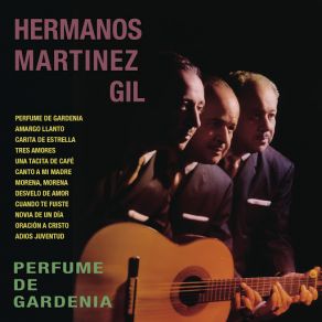 Download track Amargo Llanto Hermanos Martinez Gil