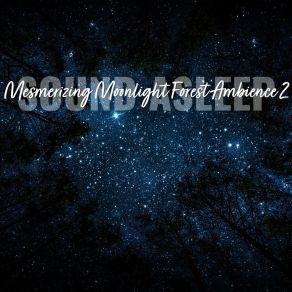 Download track Mesmerizing Moonlight Forest Ambience, Pt. 2 Elijah Wagner