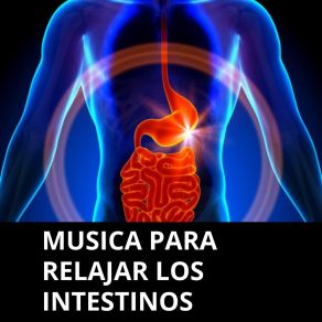 Download track Mente Relax E Intestinos Relax Relajando Intestinos