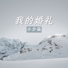 Download track 我的婚礼 (伴奏) 小少焱