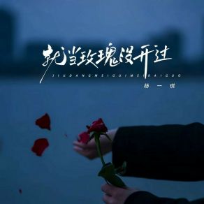 Download track 就当玫瑰没开过 (伴奏) 杨一琪