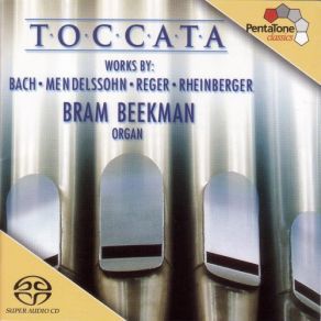 Download track Toccata & Fugue In D Minor, BWV 565- II. Fuga Bram Beekman