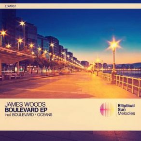 Download track Boulevard (Original Mix) James Woods