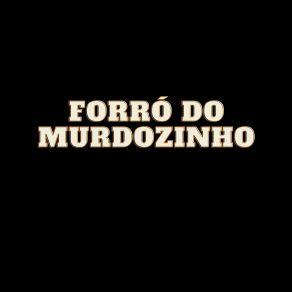 Download track Forrozinho Murdozinho Dos Teclados