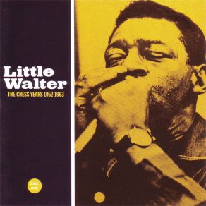 Download track Don't Have To Hurt No More Little Walter