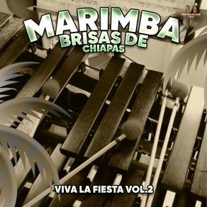 Download track Vamos A Bailar Marimba Brisas De Chiapas