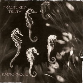 Download track Radio Muse Fractured Truth