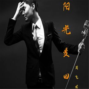 Download track 阳光麦田 (伴奏) 周飞龙