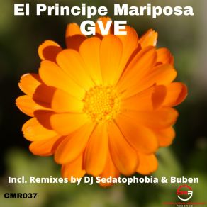 Download track El Principe Mariposa (Buben Dub Mix) GveBuben