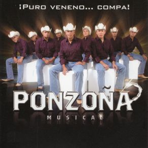 Download track Luz De Mi Vida Ponzoña Musical