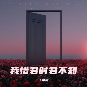 Download track 十二月的秘密 王小窝