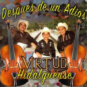 Download track Enamorado De Tus Ojos Virtud Hidalguense