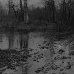 Download track Ashen Leaves, Moonlit Pond Hiemal