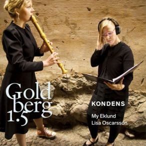 Download track Goldberg Variations, BWV 988: Variatio 29. A 1 Ô Vero 2 Clav. Kondens