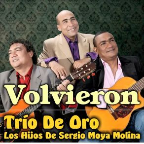 Download track Tus Amores Trio De Oro Los Hijos De Sergio Moya Molina