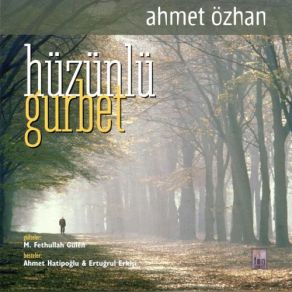 Download track Ay Yüzlü Ahmet Özhan