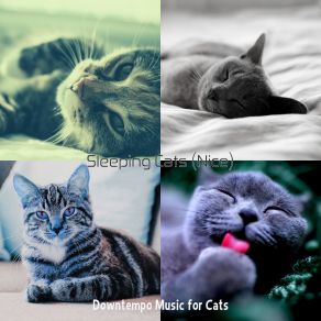 Download track Cats - Feelings Downtempo Music For Cats