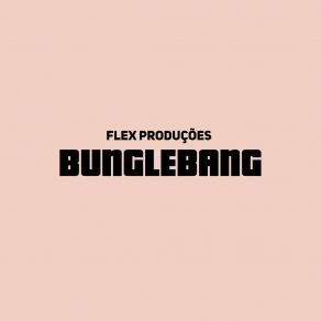 Download track Baixa Flex ProduçõesPlaca 20