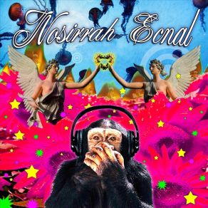 Download track Who You Talking To? Nosirrah Ecnal