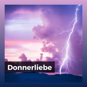 Download track Regenmeditation Gewitter Und Starkregen