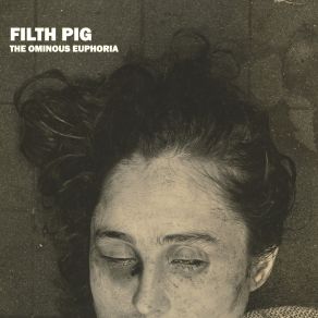 Download track The Ominous Euphoria Filth Pig