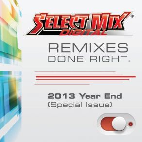 Download track Best Of 2013 Megamix Megamix