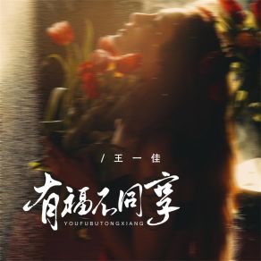 Download track 有福不同享 (伴奏) 王一佳