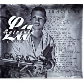 Download track La Gata Quiere Duro GaonaÑego Flow, Ñengo Flow